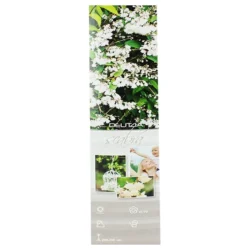 Flower Shrub